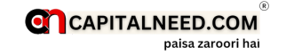 CapitalNeed logo